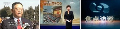 公司董事会主席罗涛参加“两会”期间接受中国中央电视台采访